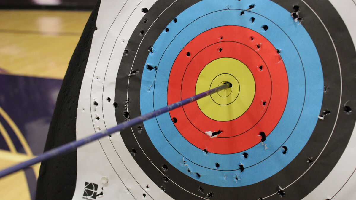 An arrow in the center of a target